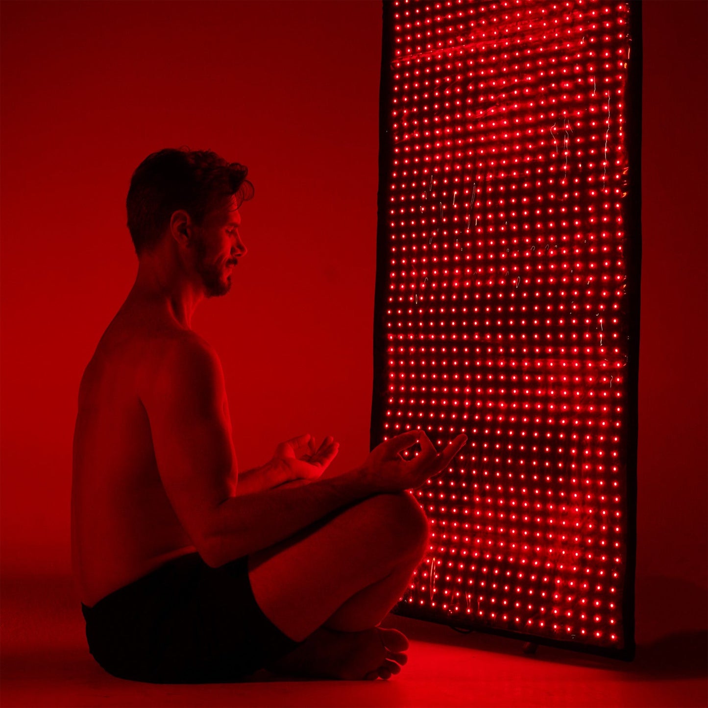 Megelin Red and Infrared Light Therapy Bag